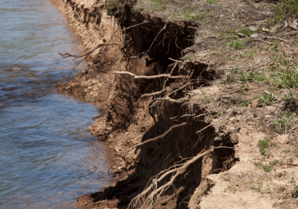 erosion control